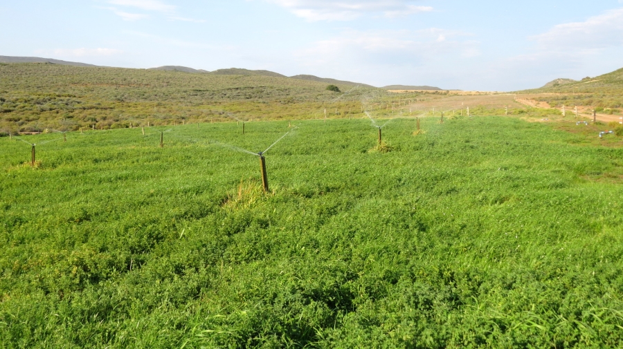 Commercial Property for Sale in Montagu Rural Western Cape